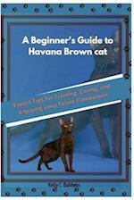 A Beginner's Guide to Havana Brown cats