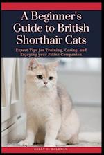 A Beginner's Guide to British Shorthair Cats