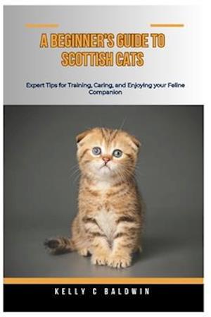 A Beginner's Guide for Scottish Cats