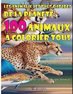 Les animaux les plus rapides de la planète