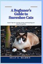 A Beginner's Guide to Snowshoe Cats