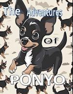 The Adventures Of Ponyo