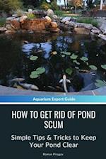 How to Get Rid of Pond Scum