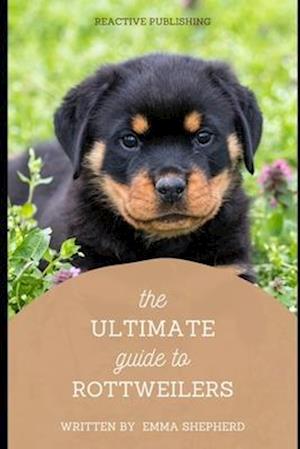 The Ultimate Guide to Rottweilers