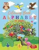 Alphabet Coloring Book of Birds