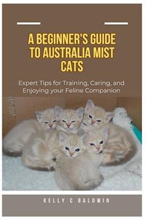 Beginner's Guide to Australian Mist Cats