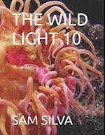 The Wild Light 10