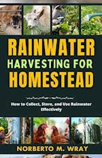 Rainwater Harvesting For Your Homestead