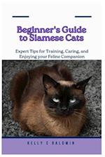 Beginner's Guide to Siamese Cats