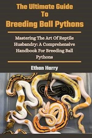 The Ultimate Guide To Breeding Ball Pythons