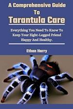 A Comprehensive Guide To Tarantula Care