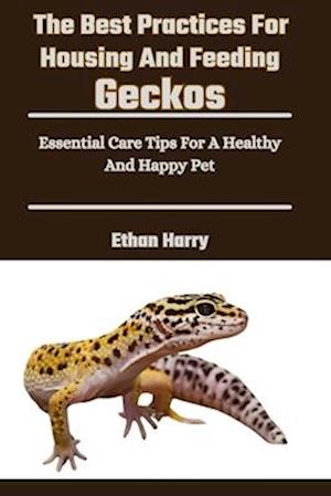 The Best Practices For Housing And Feeding Geckos