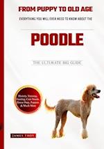 Everything You Ever Wanted To Know About The Poodle