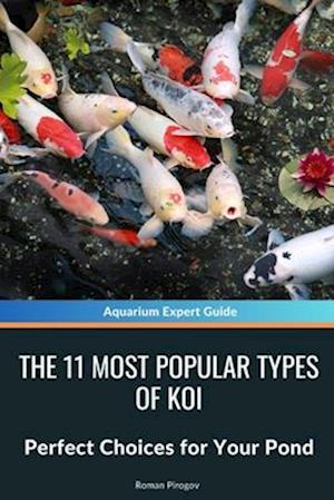 The 11 Most Popular Types of Koi