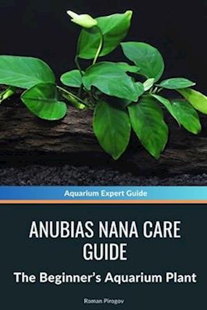 Anubias Nana Care Guide