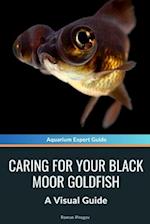 Caring for Your Black Moor Goldfish