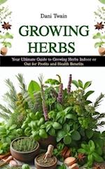 Growing Herbs