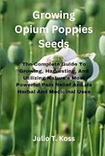 Growing Opium Poppies Seeds