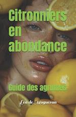 Citronniers en abondance