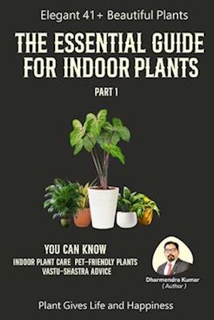 The Essential Guide For Indoor Plant Part 1