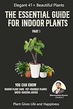 The Essential Guide For Indoor Plant Part 1