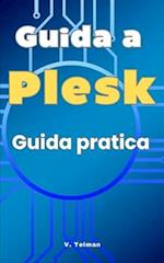 Guida a Plesk