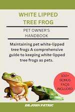 White Lipped Tree Frog