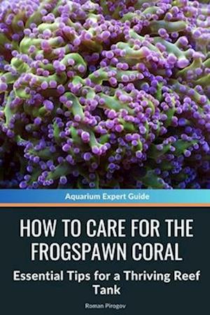 How to Care for the Frogspawn Coral