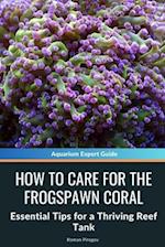 How to Care for the Frogspawn Coral