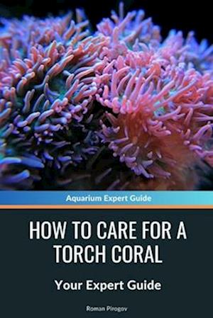 How to Care for a Torch Coral