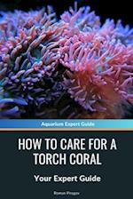 How to Care for a Torch Coral