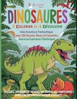 Dinosaures à Colorier et à Découvrir