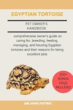 Egyptian Tortoise