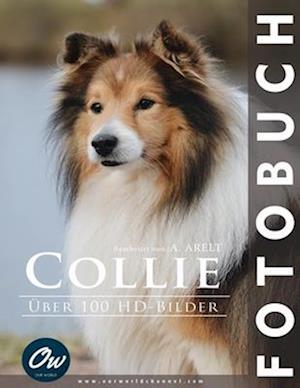 Collie