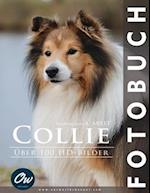 Collie