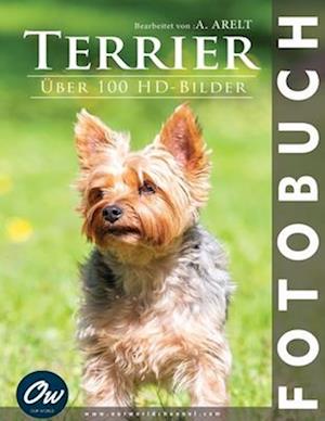 Terrier