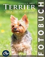 Terrier