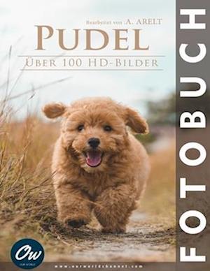 Pudel