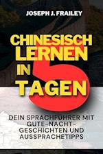 Chinesisch Lernen in 5 Tagen