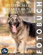 Deutscher Schäferhund