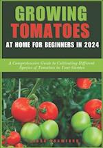 Growing Tomatoes at Home for Beginners in 2024