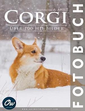 Corgi