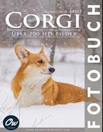 Corgi