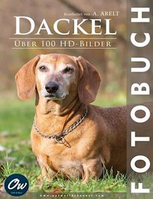 Dackel