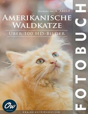 Amerikanische Waldkatze