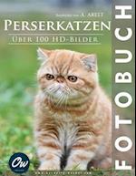 Perserkatzen