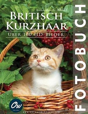 Britisch Kurzhaar