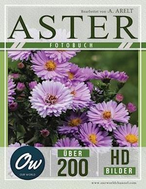 Aster