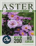 Aster