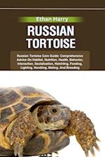 Russian Tortoise